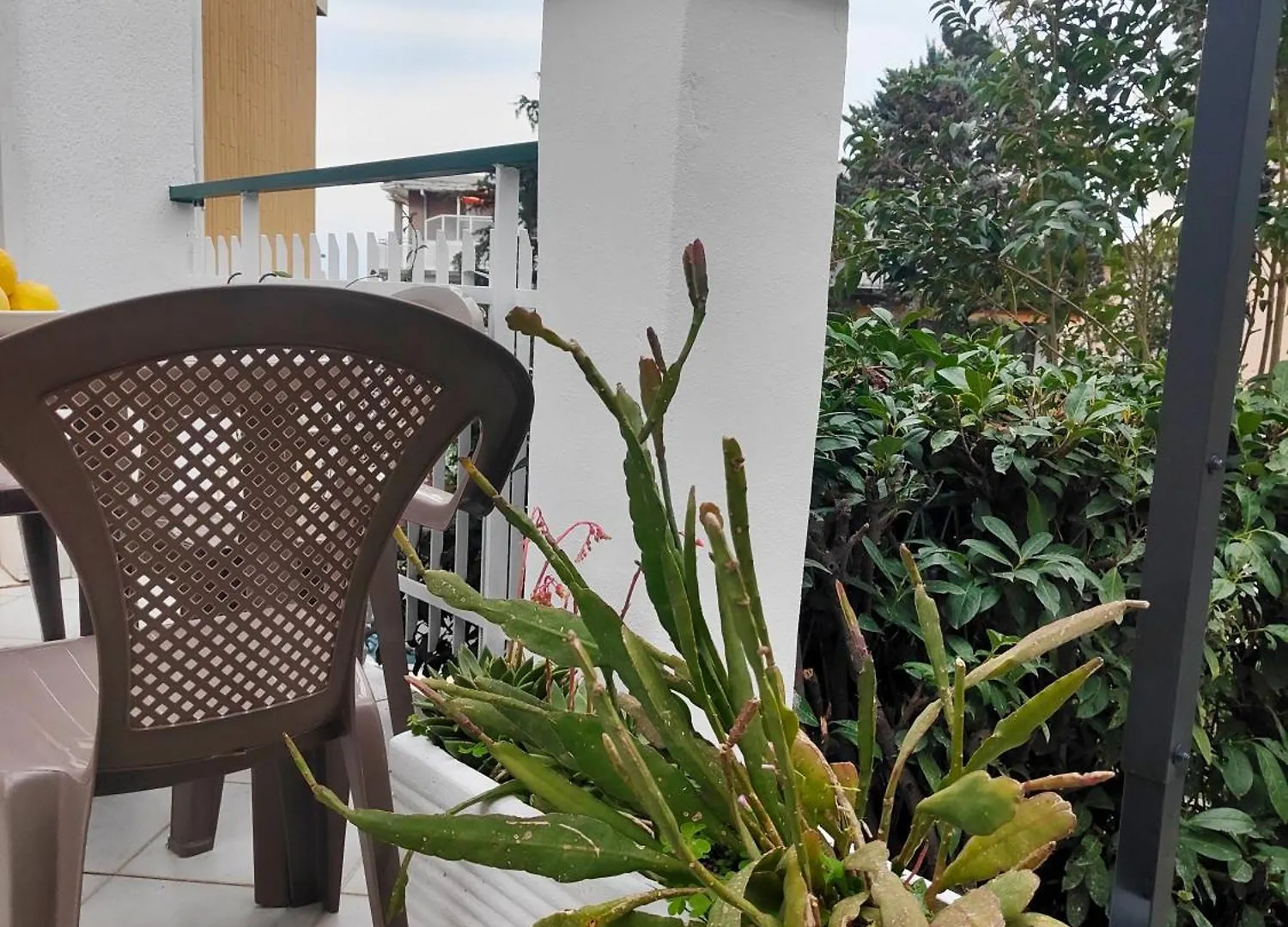 Alishome, Elegante Trilocale Con Vista Mare E Giardino Sanremo